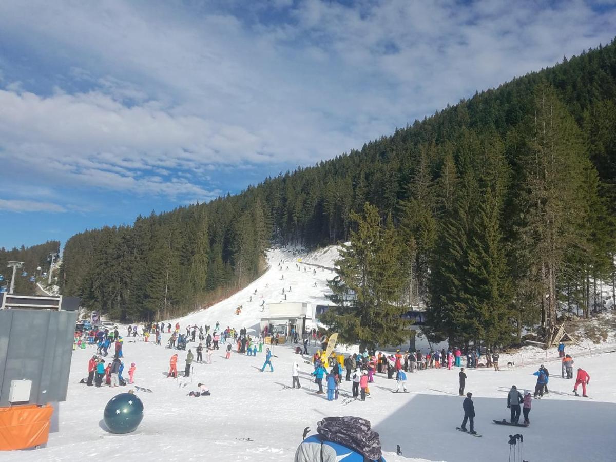 Lucy'S Apartments Emerald Bansko Exterior foto